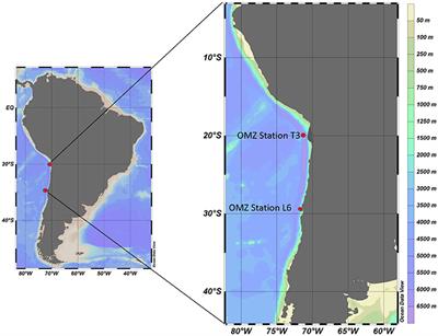 A Review of Protist Grazing Below the Photic Zone Emphasizing Studies of Oxygen-Depleted Water Columns and Recent Applications of In situ Approaches